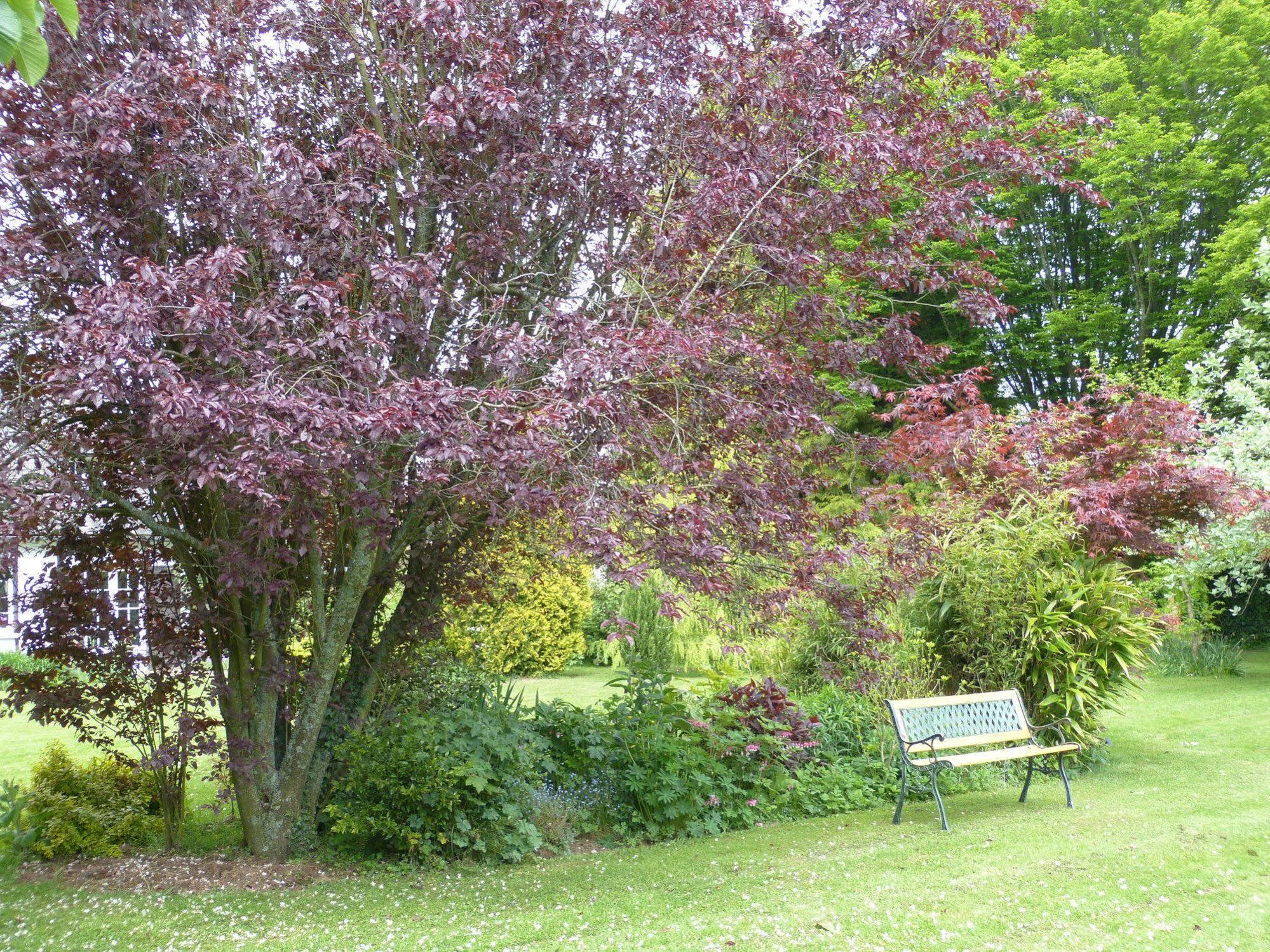 Le Petit Verger Grumesnil Exterior foto